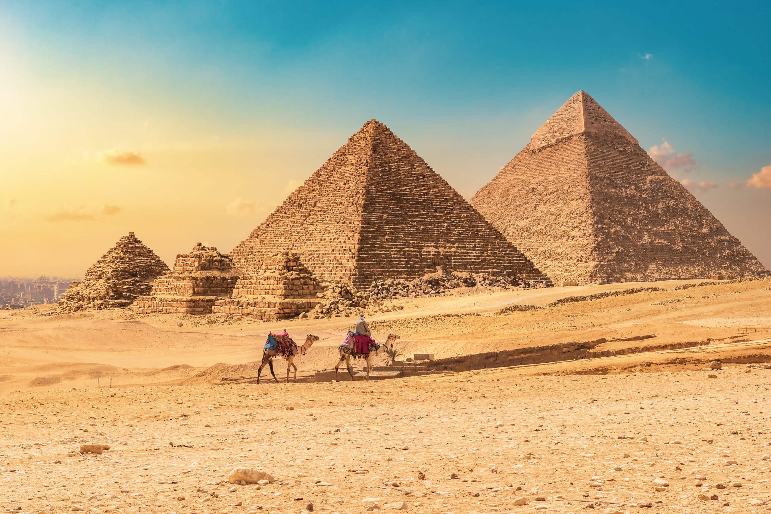 Bedouin with camels on a background of pyramids at sunset